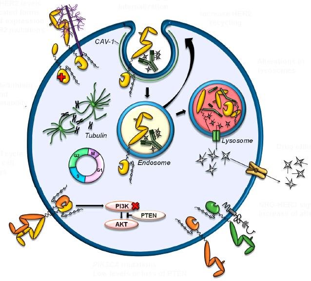 T320 Mechanism of Action