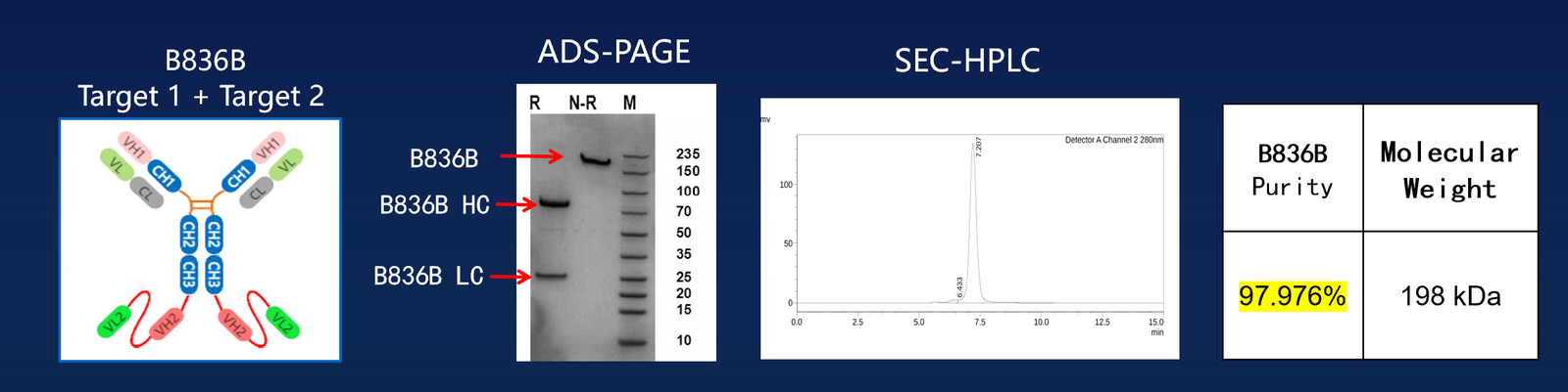 Molecular characterization